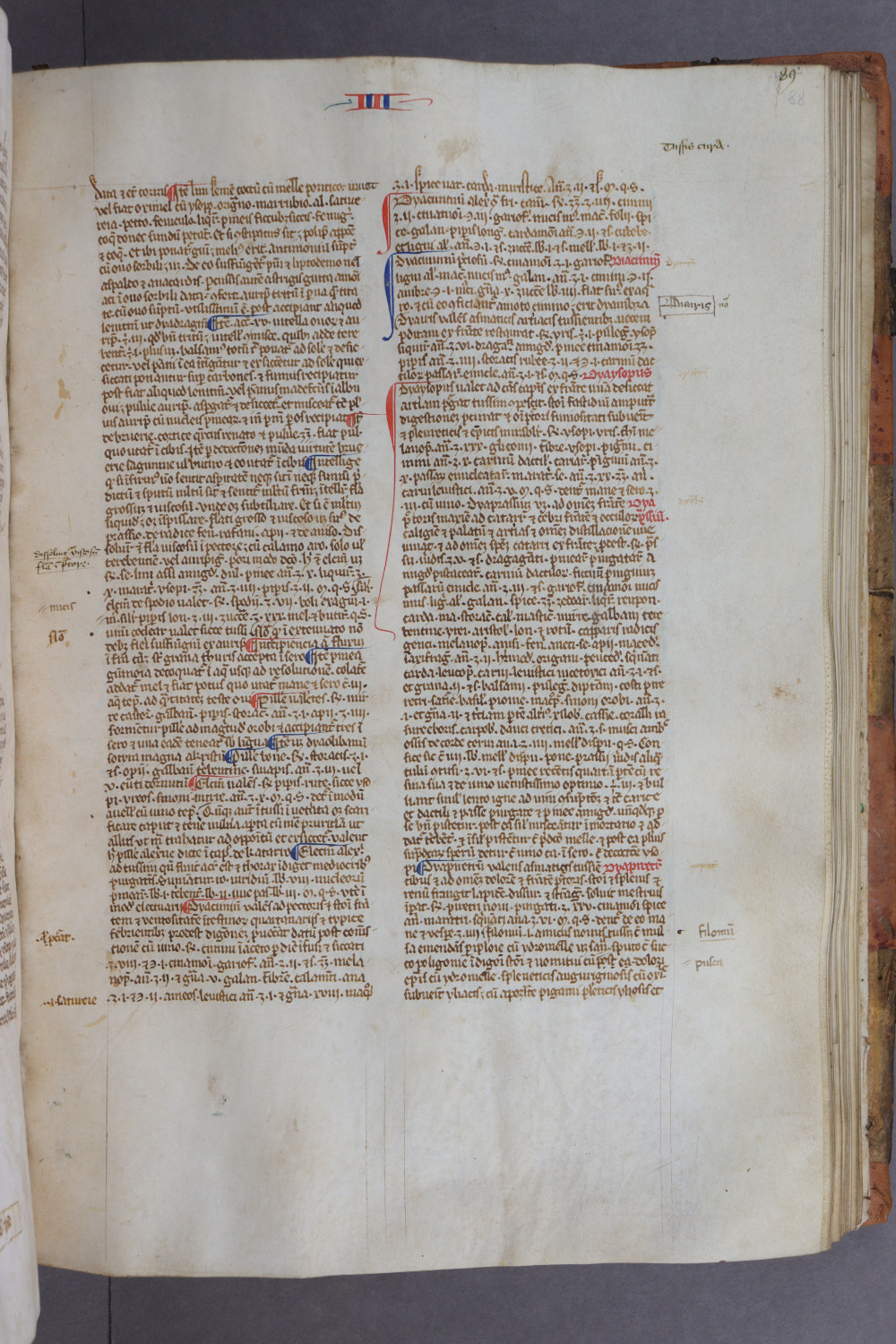 Folio 88 recto